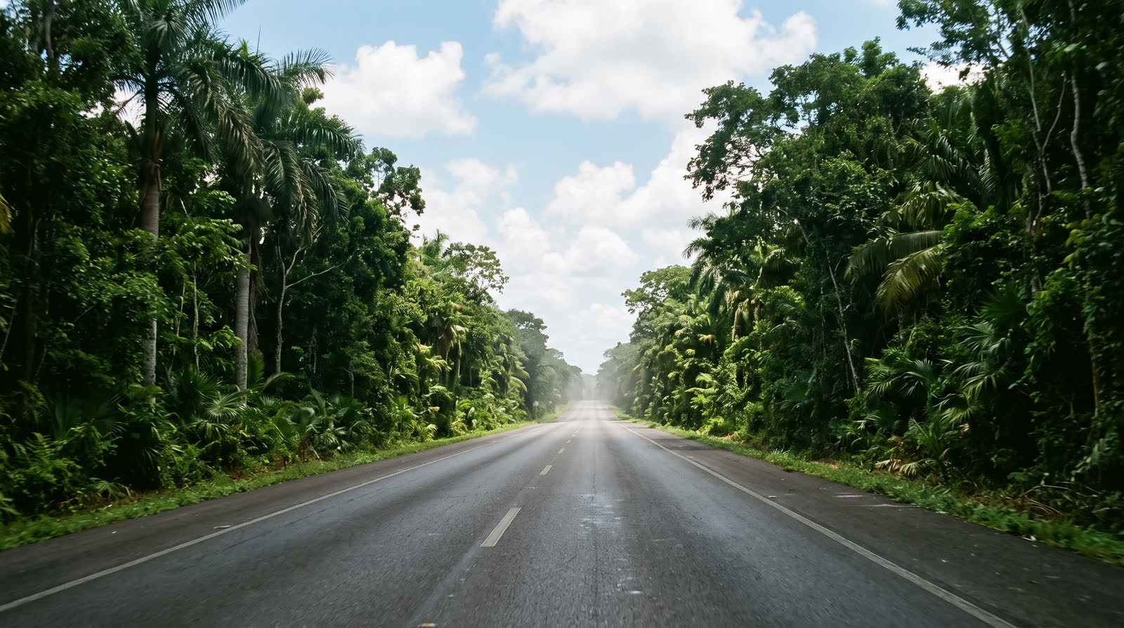 Carretera recta de dos carriles entre selva densa en Quintana Roo